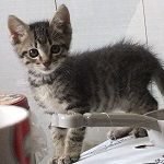 ムヒ。。。