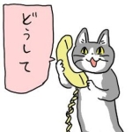 ふぇのめのん