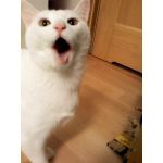 性病