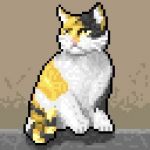 ハル