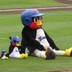 さいこむ