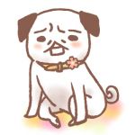 みやの