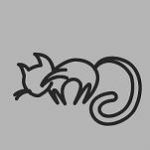 はいねこ