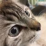 ユーザー画像