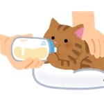 こぺち