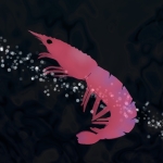 ミモエビ丸