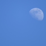 userPhoto