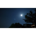 userPhoto