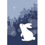キョウ（´∵ `）