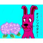 カズ-elk999