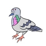 鳩ﾎﾟｯﾎﾟ