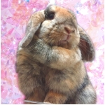 ウサナー
