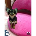 userPhoto