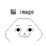 モも珍12