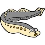 きらな