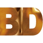 bodyzone_team