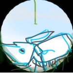 nosgoqmitk