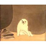 熊熊
