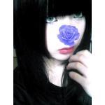 黒薔薇