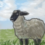 ものき