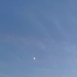 ちゅーる