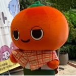 nyahohopunch