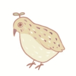 ウズ藻