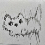 userPhoto