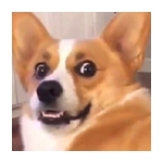 ﾟ∀ﾟ)