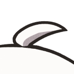 しろいろ