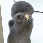 ユーザー画像