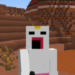 userPhoto