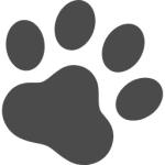 捨て猫。