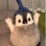 くにゃ