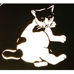 たぬさぎ
