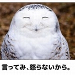 こはる