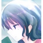 とりのす