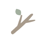 枝(えだ)