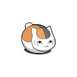 まっちゃ