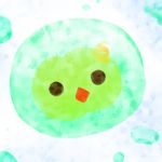 せつこ