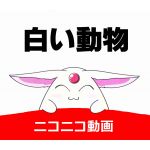 白アニ(白い動物)