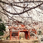 userPhoto