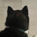userPhoto