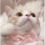 ユーザー画像