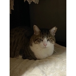 userPhoto
