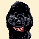 サム