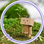 userPhoto