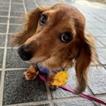 ゆぅままぁ(●⁰౪⁰●)