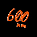およそ600㌨㍍