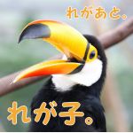 レガート。